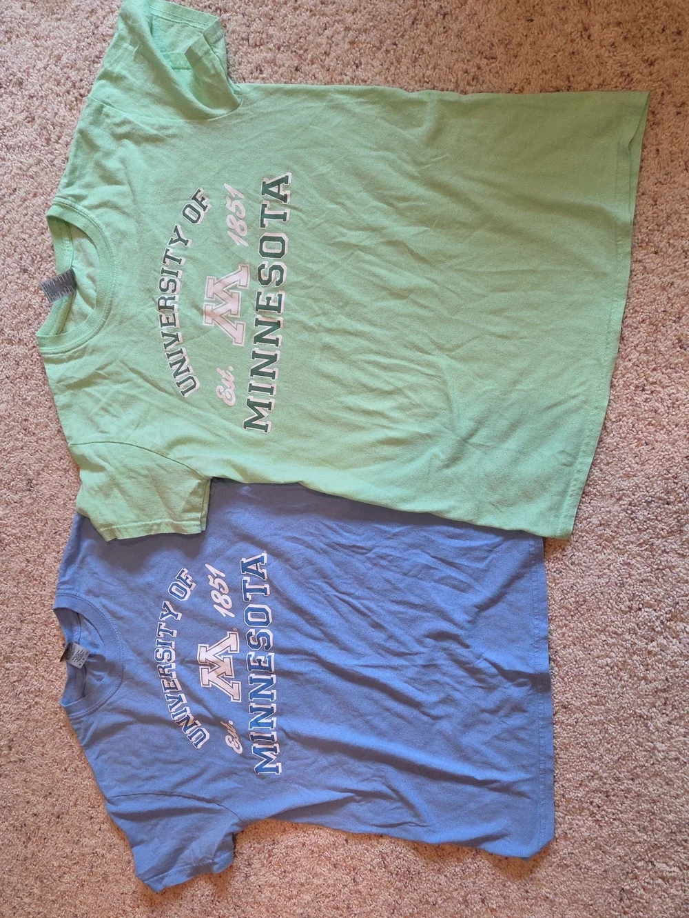 Gildan University of Minnesota Graphic Tee - Light Green & Light Blue